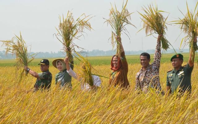 Judul Pengumuman 1 CMS Kementan