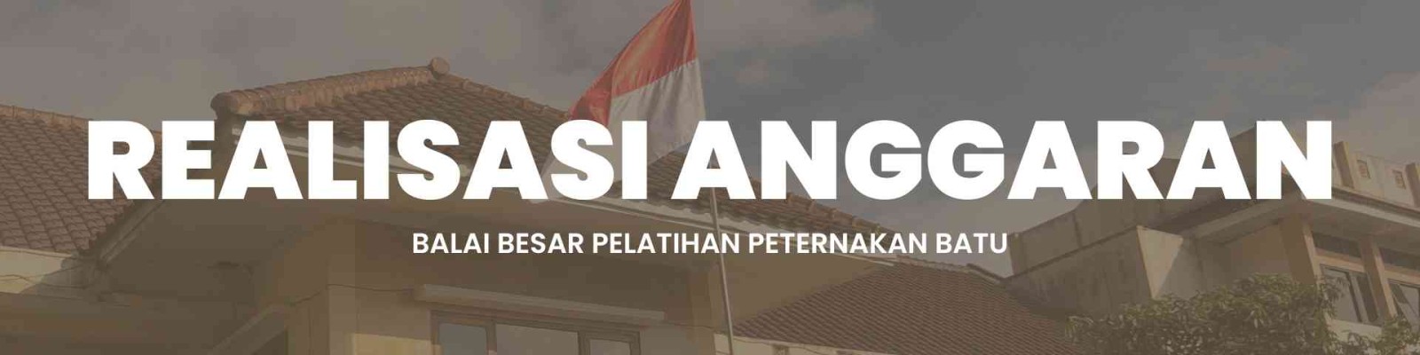 Realisasi Anggaran