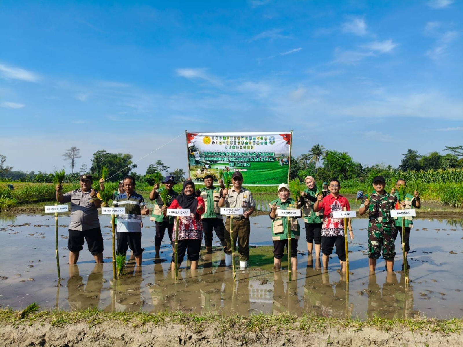 Perkuat Produksi Padi, Gerakan Tanam di Blitar Dioptimalkan Jelang Kemarau