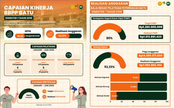 Infografis 2