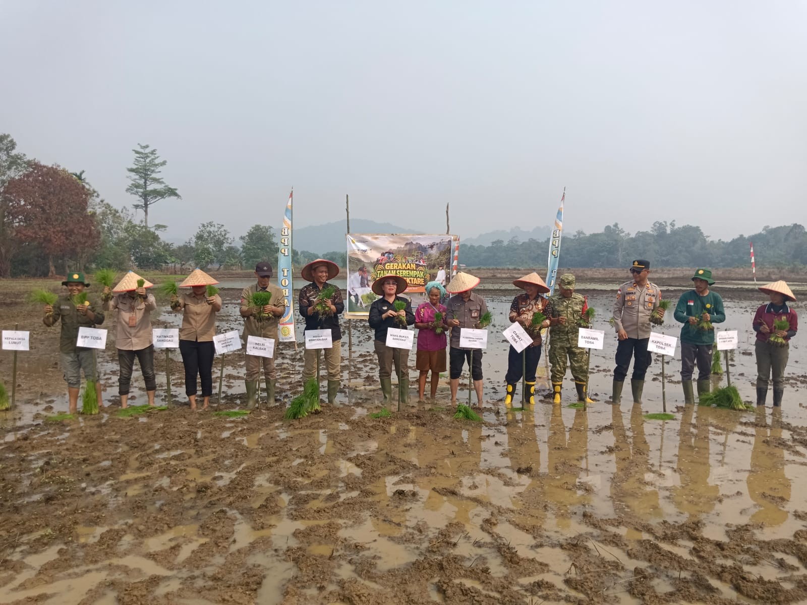 Percepatan Tanam Digencarkan, Gerakan Tanam Serempak Digelar di Berbagai Daerah
