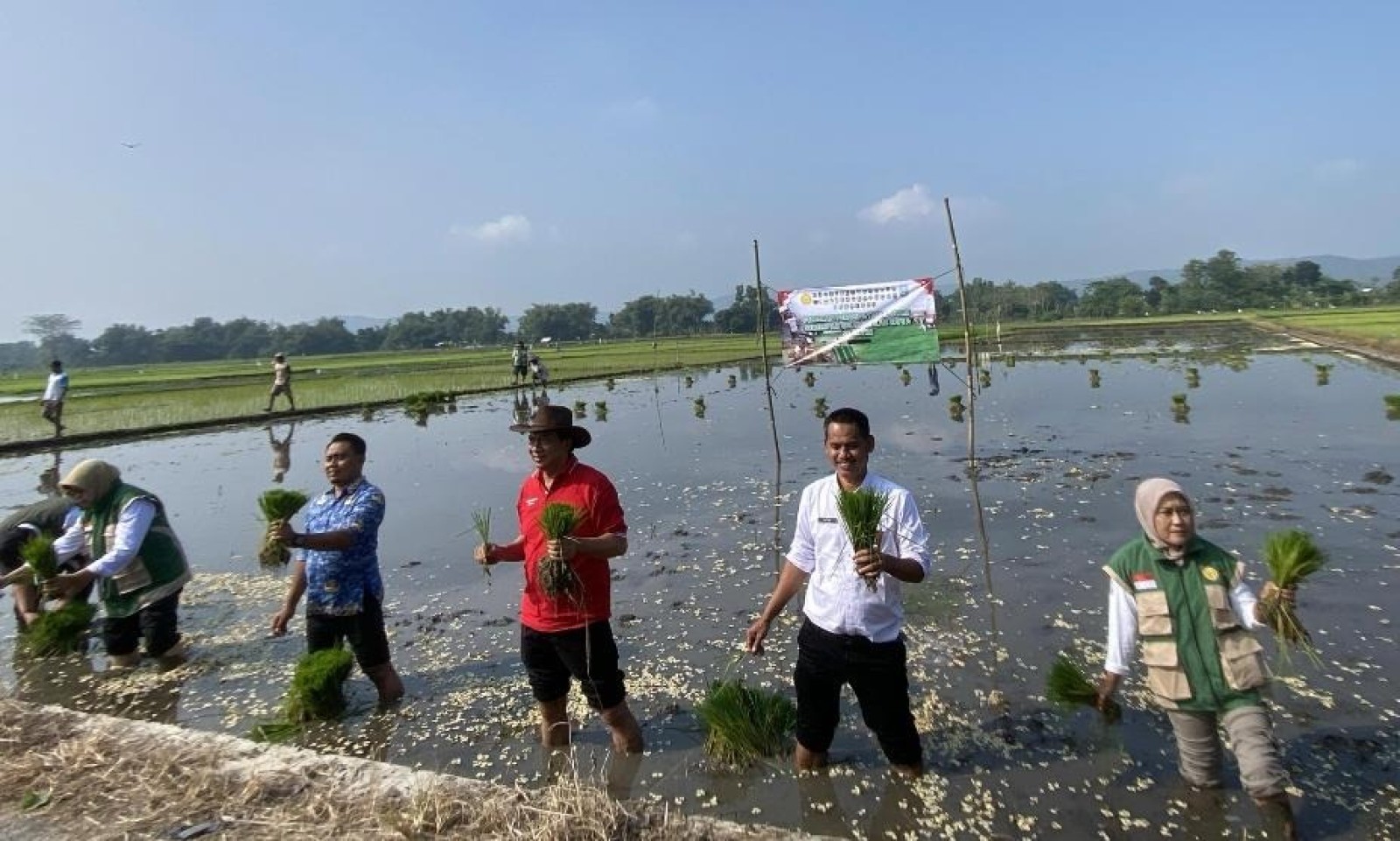 Blitar Perkuat Produksi Pangan melalui Gerakan Tanam Musim Kedua