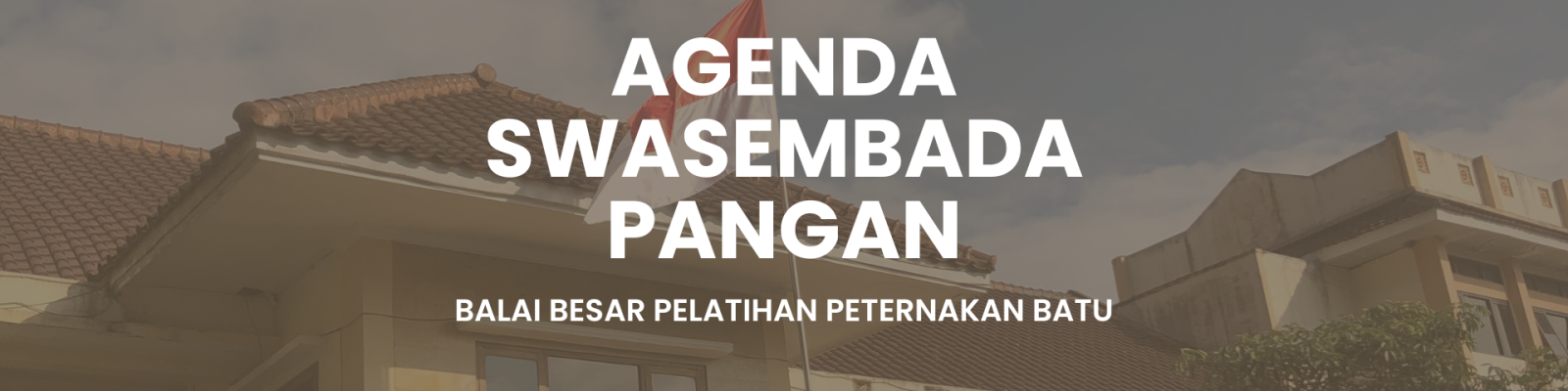 Gerakan tanam serempak di BP Panca Benua, Desa Pangkalan Bemban, Kec. Selakau,  Kab sambas Provinsi Kalimantan Barat