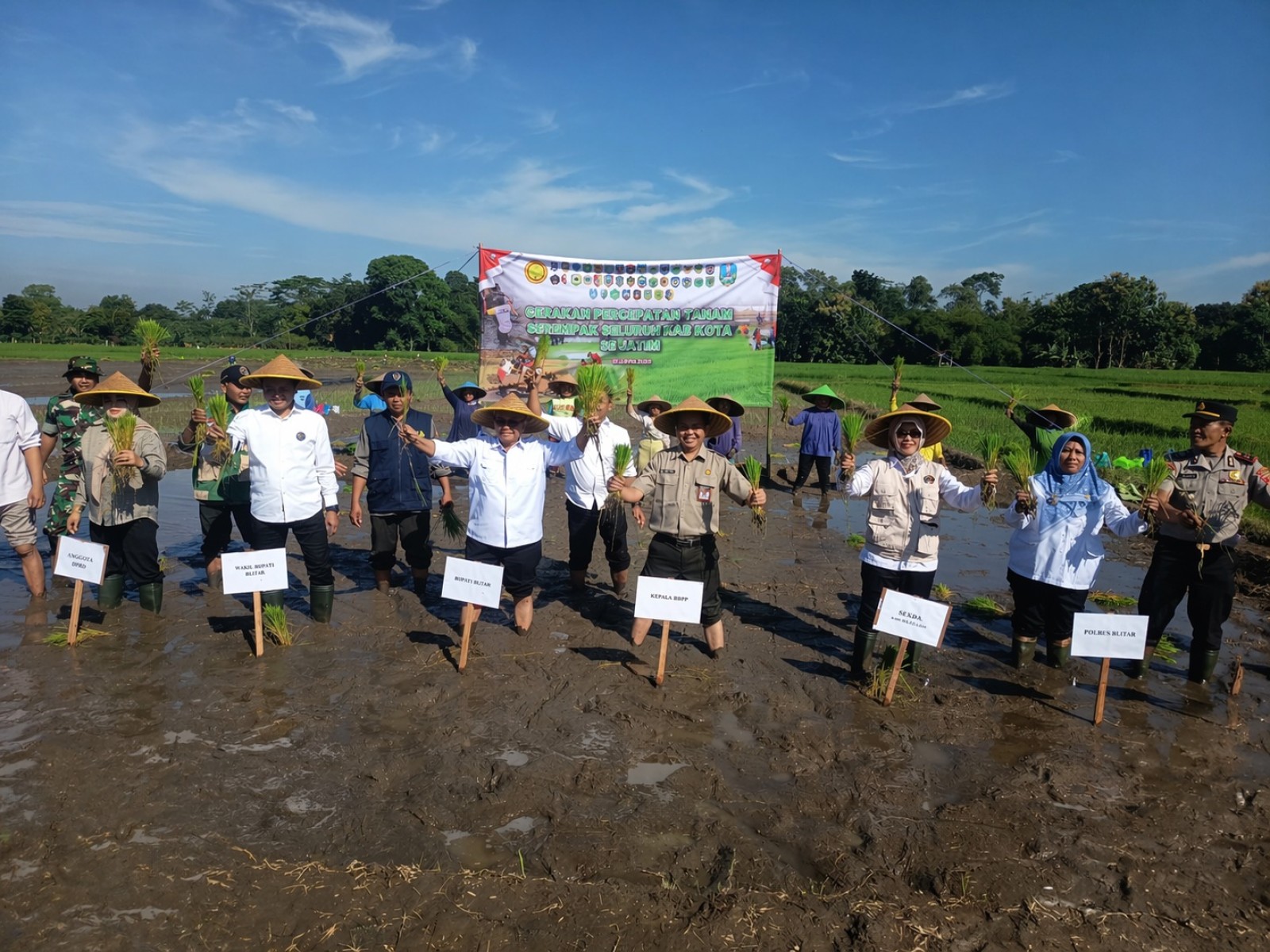 Kejar Target di Tengah Ancaman Kemarau, Kota Blitar Genjot Tanam Padi hingga 4 Kali Lipat