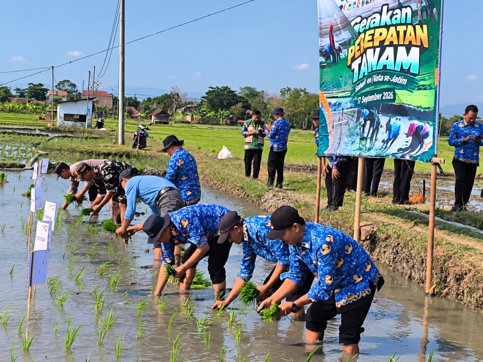 Gerakan Percepatan Tanam Dorong Peningkatan Produksi Pangan di Jawa Timur