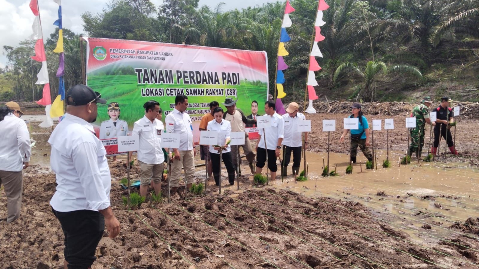 Percepat Tanam Serempak di Lahan CSR, Kementan Dorong Swasembada Beras Berkelanjutan