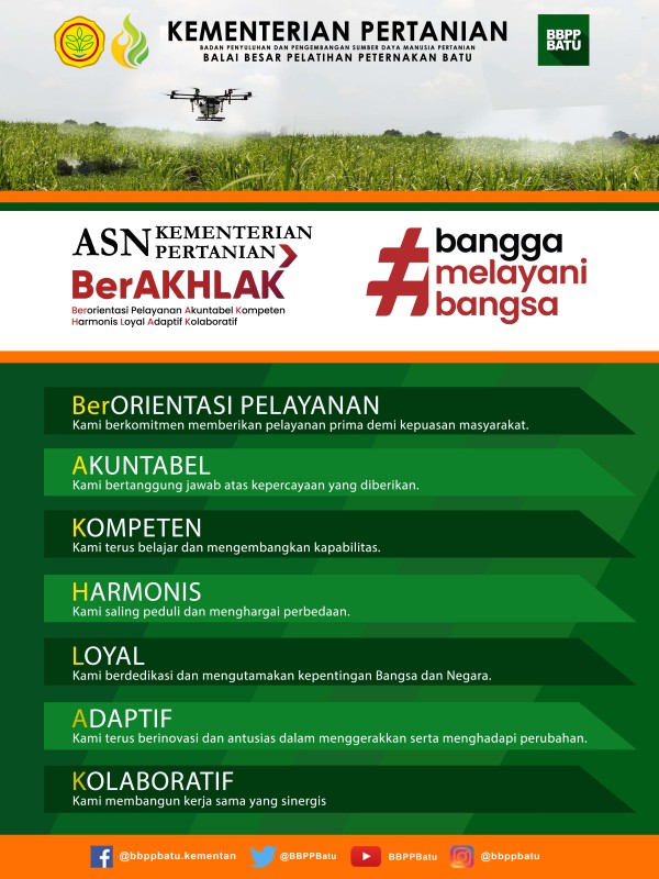 Infografis 6